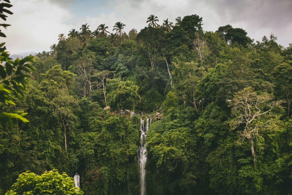 Waterfall in Bali