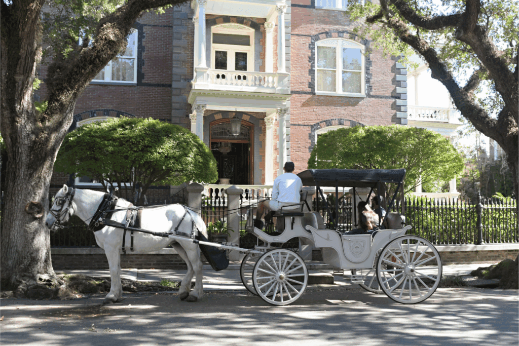 Horse and buggy on charleston streets